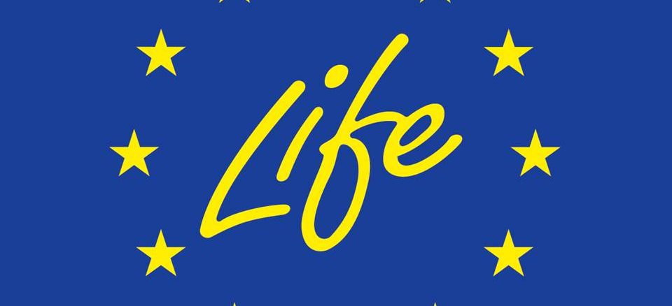 lifelogo