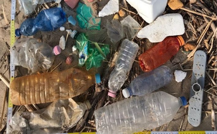 litter1