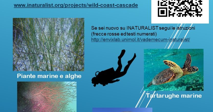 locandina-cascade_campagnainatur
