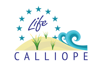 logo_calliope_okkk